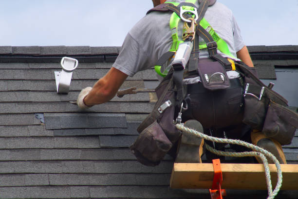 Professional Roofing Contractor in New Carlisle, IN