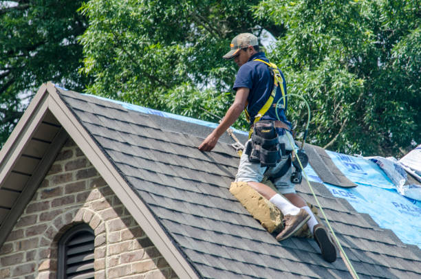 Best Local Roofing Companies  in New Carlisle, IN